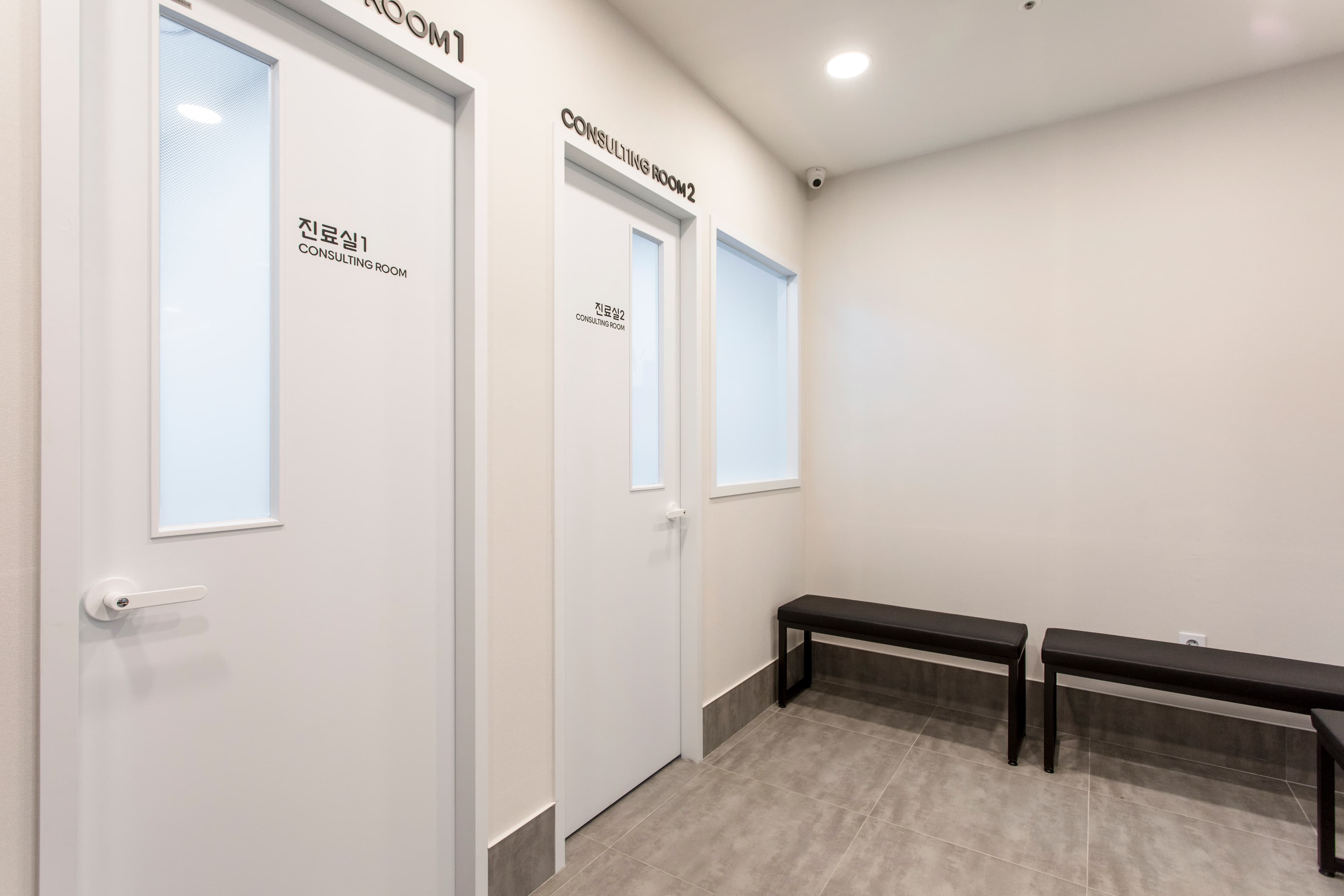 고양이 친화 - 3