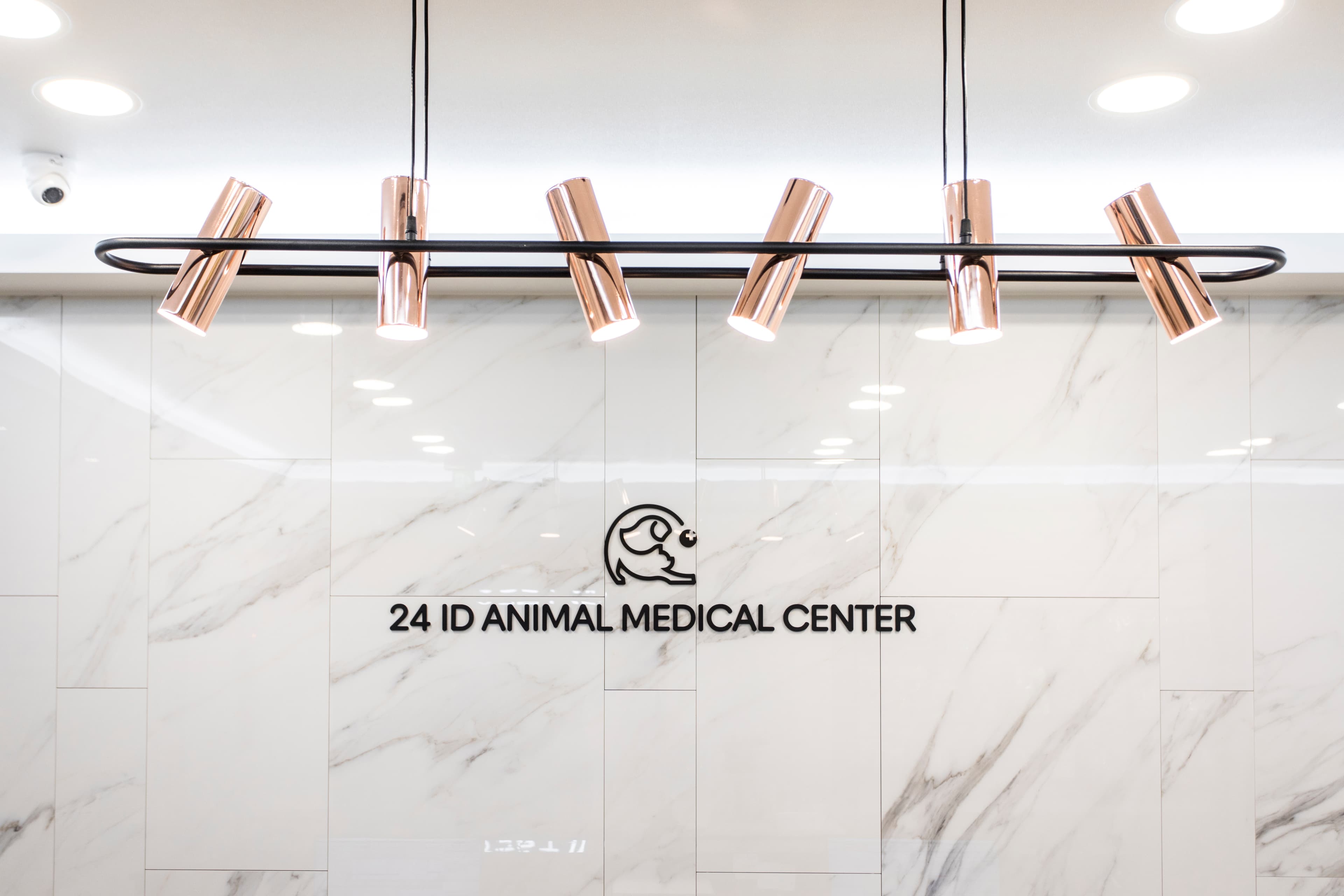 혈액 화학 분석기