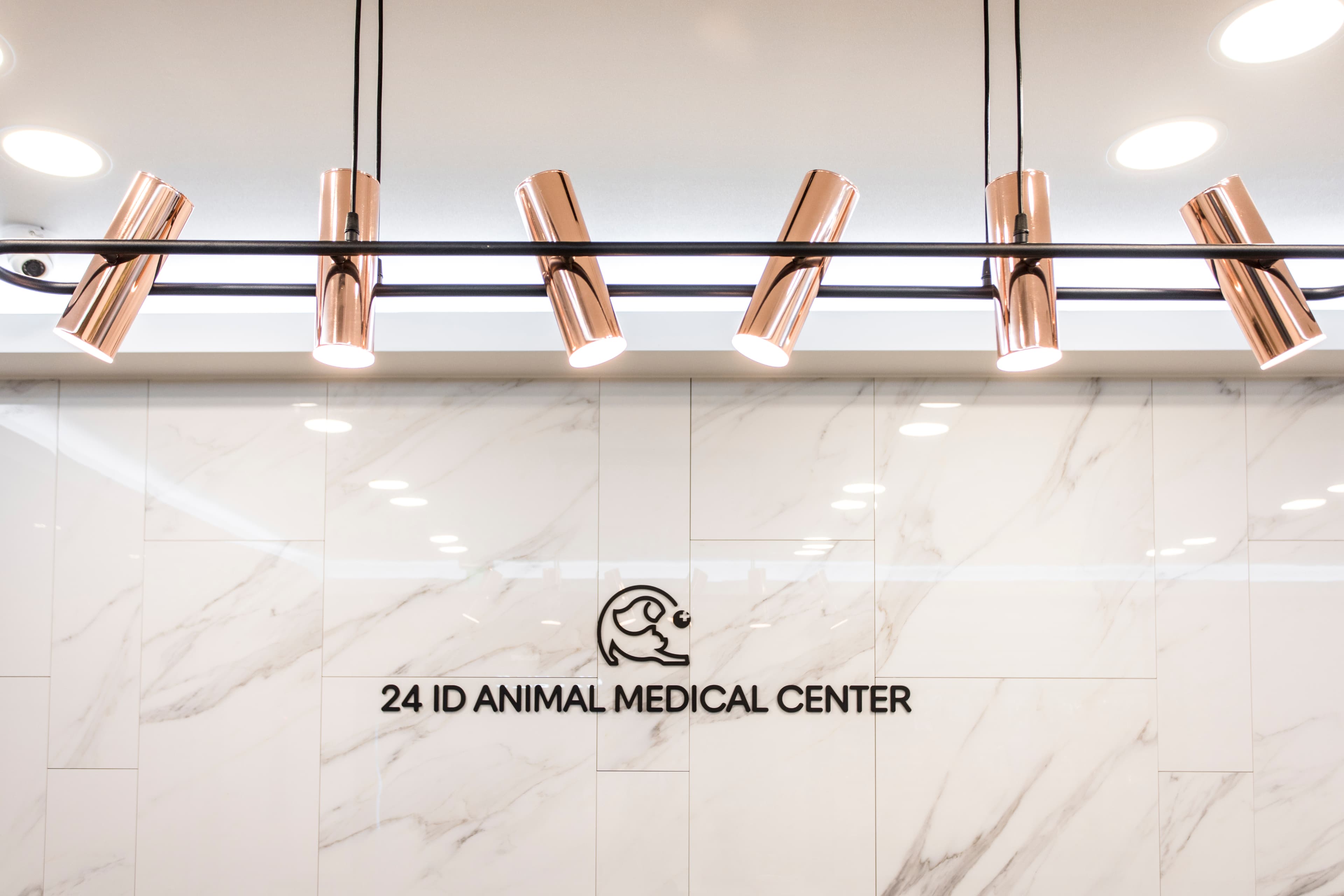 혈액 응고 분석기