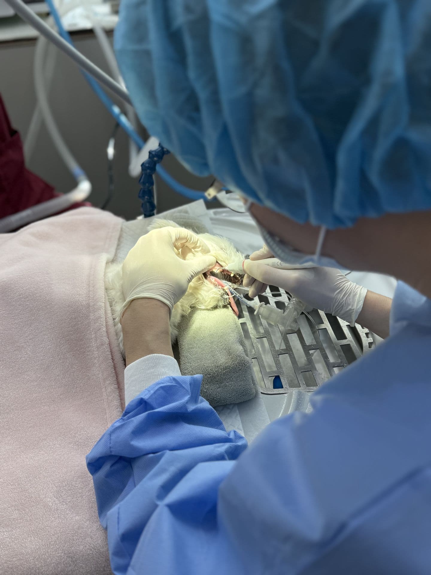 center hero narrative image