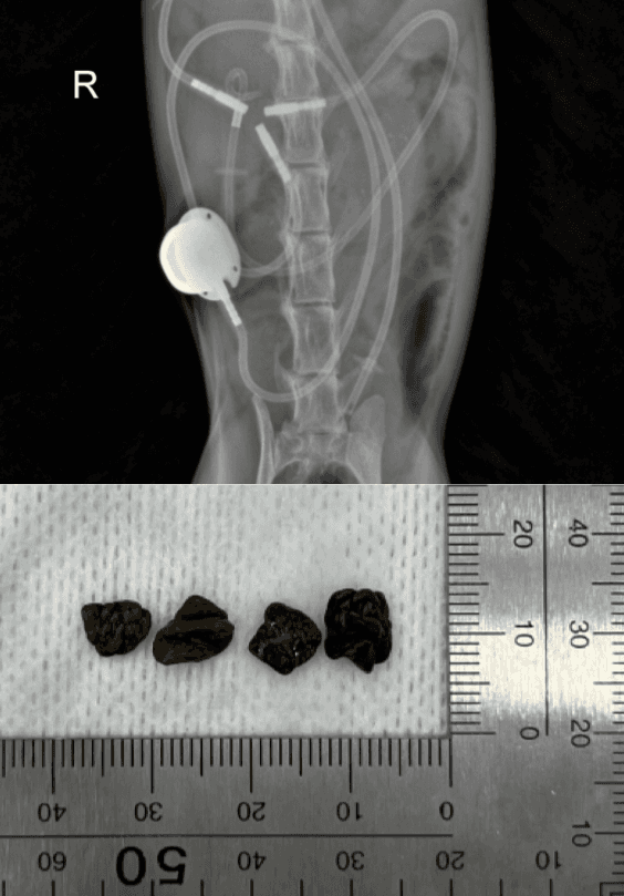 center hero narrative image